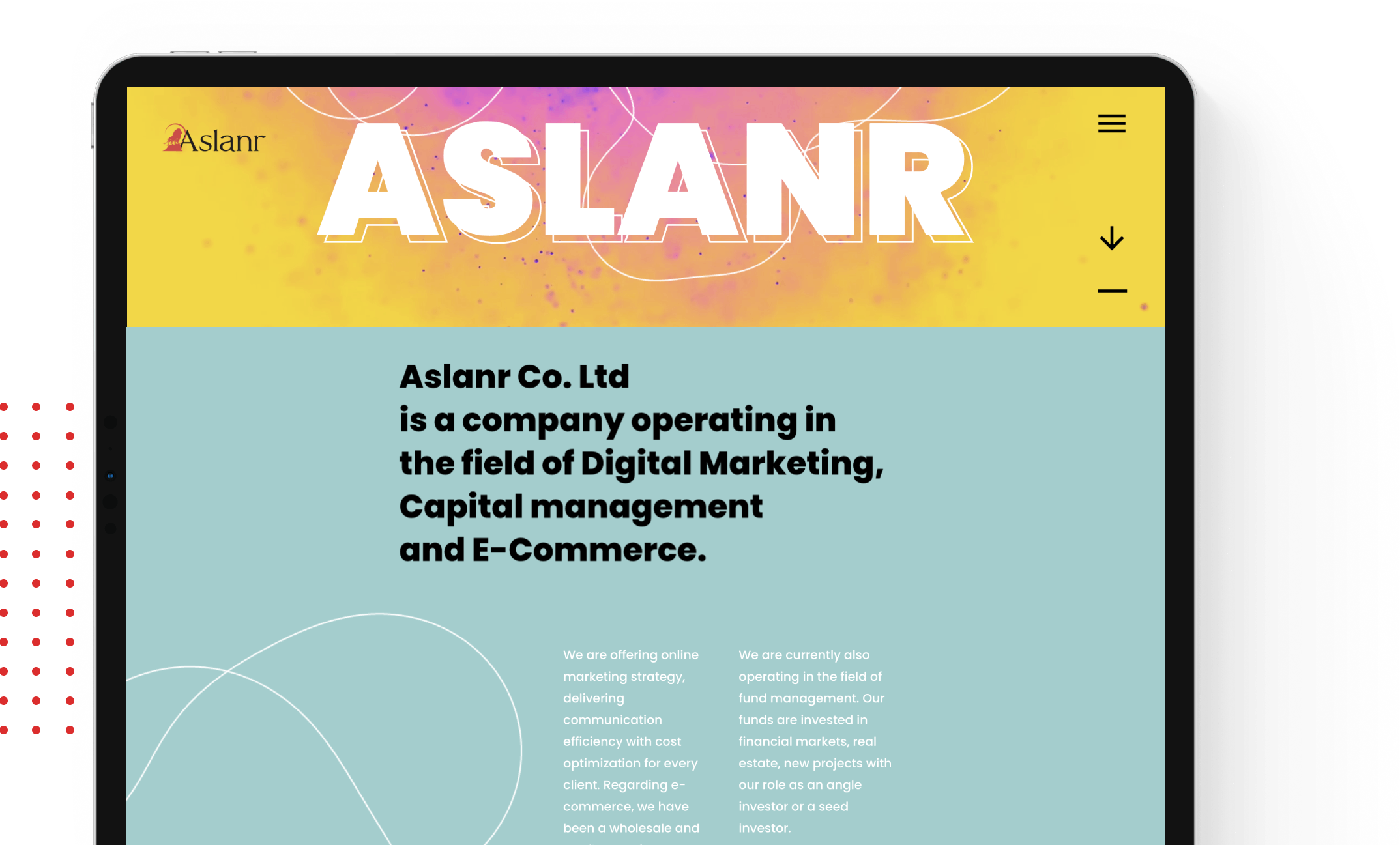 Aslanr Marketing - Aslanr Agency