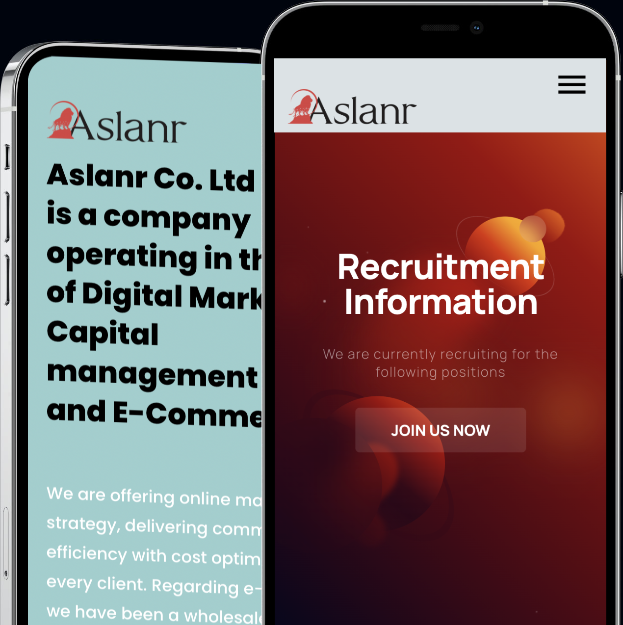 Aslanr Marketing - Aslanr Agency