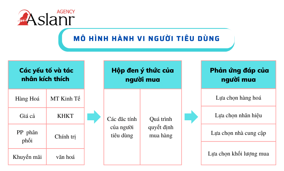 hanh-vi-nguoi-tieu-dung-la-gi-huong-dan-chi-tiet-cho-nguoi-moi-bat-dau-4