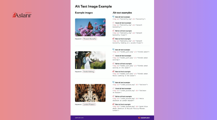 alt-text-la-gi-cach-viet-alt-text-dem-lai-hieu-qua-tot-nhat-4